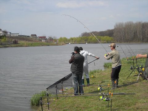 DSCN2037.jpg
