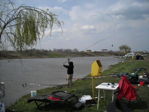 DSCN2019.jpg