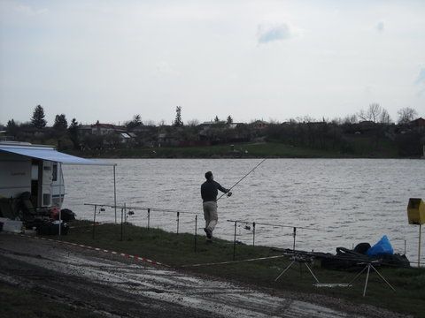 DSCN2017.jpg