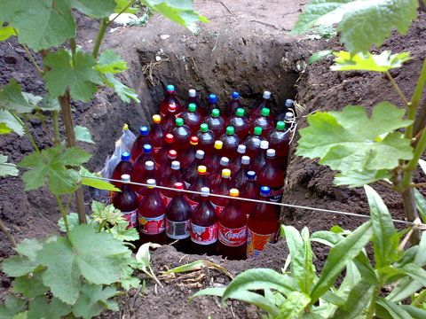 09052008497.jpg