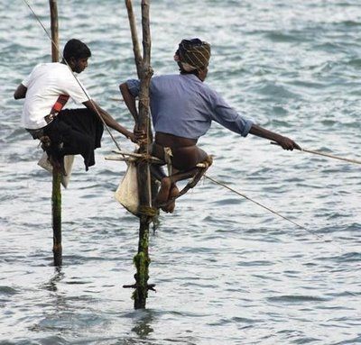fishing_on_stilts.jpg