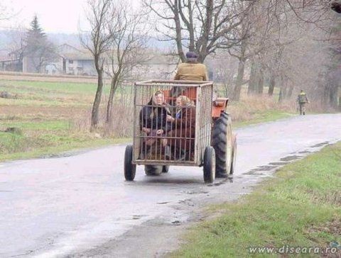 transportul in comun la tara