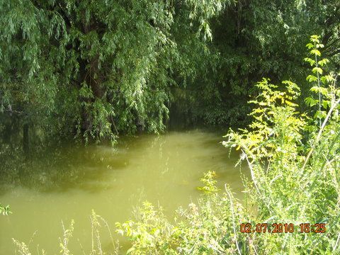 DSCN6390.jpg