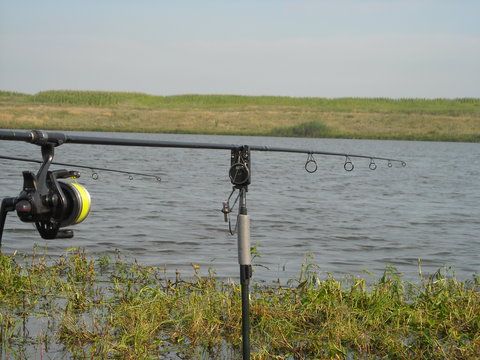 DSCN6694.jpg