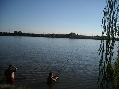 DSCN7695.JPG