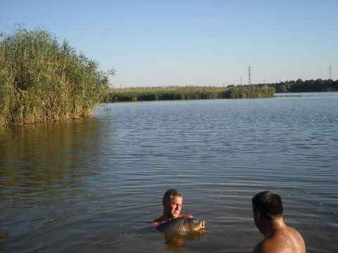 DSCN7807.JPG