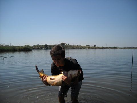 DSCN7947.JPG