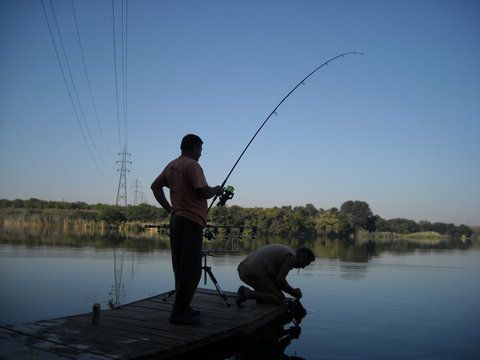 DSCN7917.JPG