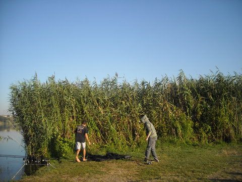 DSCN7858.JPG