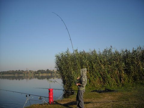 DSCN7852.JPG