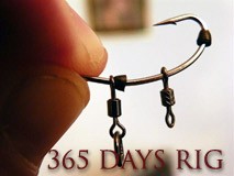 365-days-rig