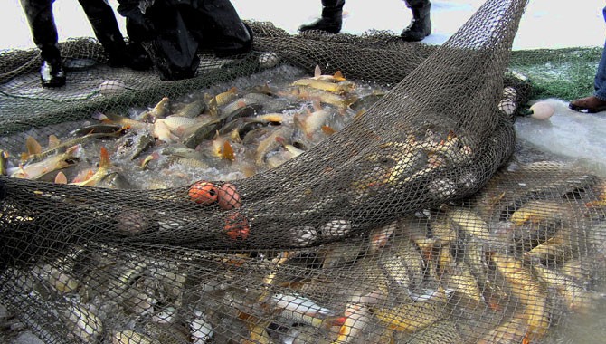 utah-lake-carp-removal-nets