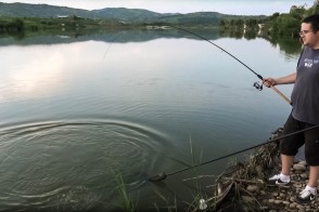 Method feeder – cheia succesului