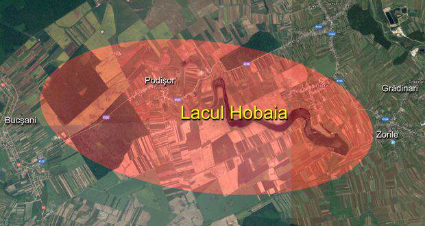 Hobaia