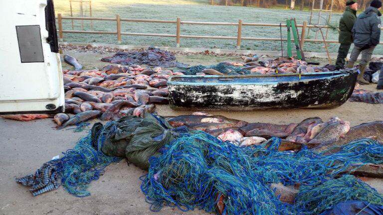 Macel comis de romani in Italia